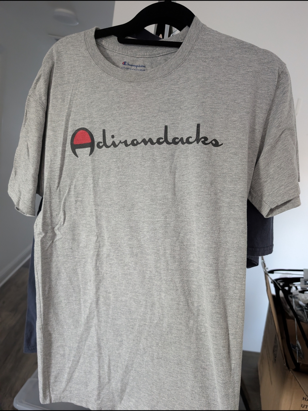 Champion Gray Adirondacks T‑Shirt with Red Accent